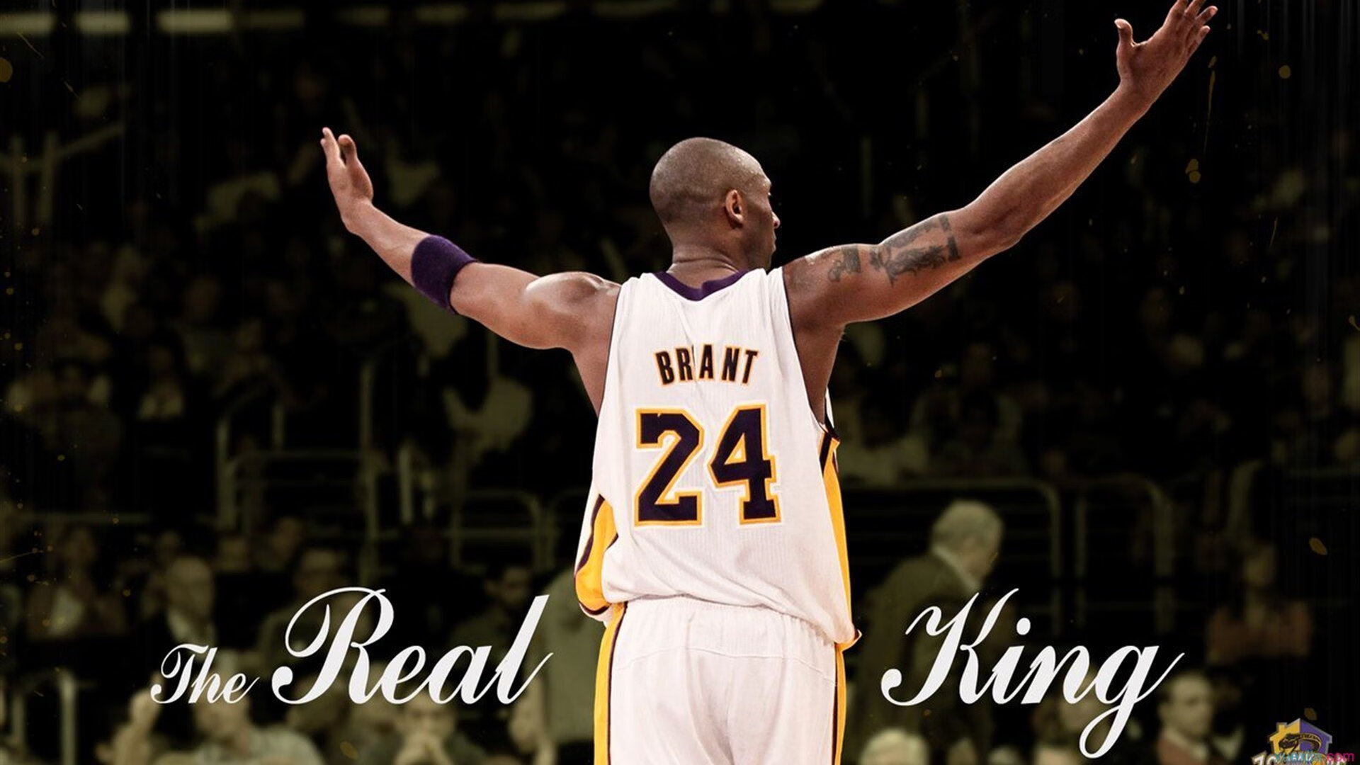 乐鱼体育-CBA球迷的热情点亮整个赛季，cba球迷的热情点亮整个赛季了吗